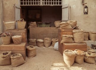 Automating Trading With Simple EAs No Coding: Secrets Revealed