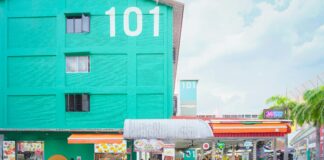 Social Trading Features Compared Across Brokers: Which Wins?