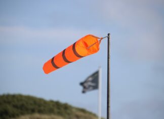 ADX Indicator: Unlocking Strength Secrets Beyond Market Direction