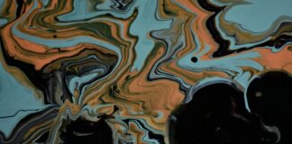 pexels photo 3704966