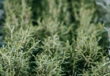 How To Cultivate Patience In High-Stress Markets For Success