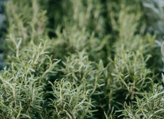 How To Cultivate Patience In High-Stress Markets For Success