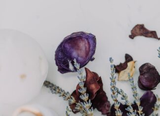 The Role of Meditation in Day Trading: Unlock Calm and Success