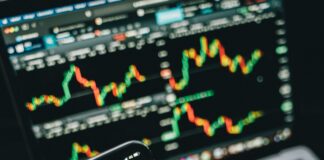 pexels photo 6771900