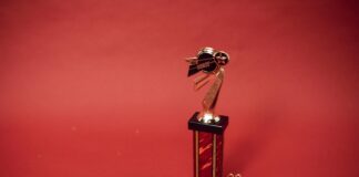 The Best MT4 Brokers Ranked: Discover Top Choices for Success