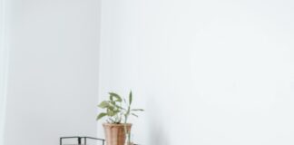 pexels photo 7218516 1