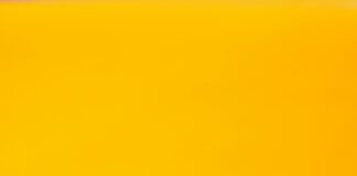 30 Quotes That Will Motivate You to Master the Markets Like a Pro