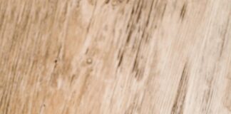 The Truth About Bonuses And Promotions Offered By Brokers Revealed