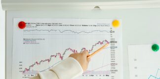 pexels photo 7876498