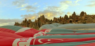 pexels photo 8236221