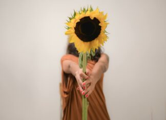 NZD/USD And Agricultural Commodities: Unveiling The Hidden Link