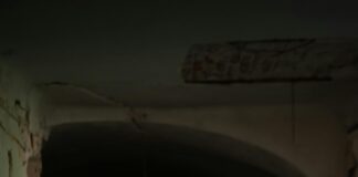 Embracing Uncertainty in the Markets: Secrets to Thrive Boldly