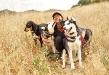 Tailored Comfort: How the Right Dog Beds Improve Dogs Health and Behavior dog bed, dog beds, large dog beds, best dog beds, outdoor dog beds, orthopedic dog beds, chew proof dog bed, raised dog bed, cooling dog bed, heated dog beds