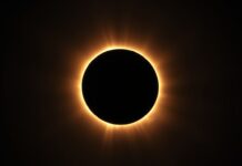 The Fascinating World of Solar Eclipses: A Heavenly Show